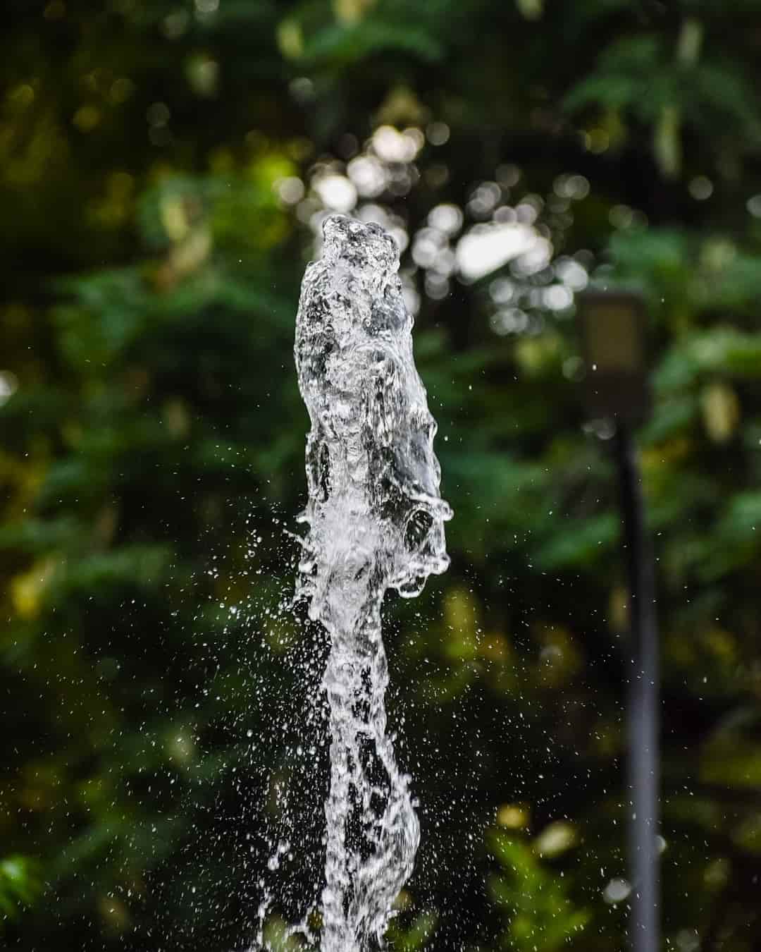 Water in details