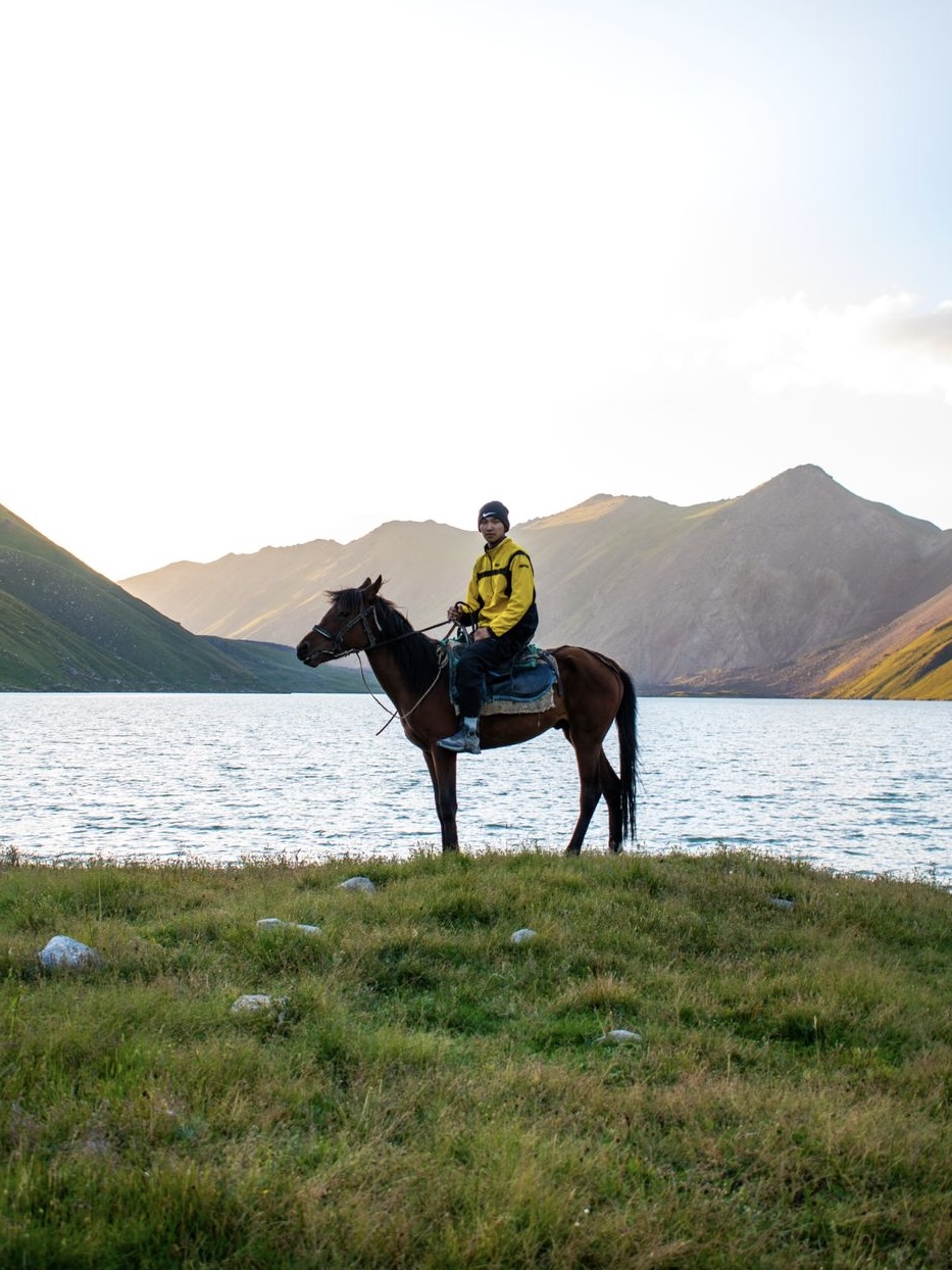 Horse Riding